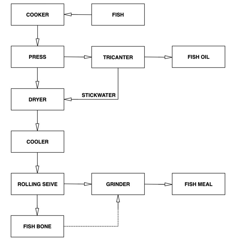 fish meal processing